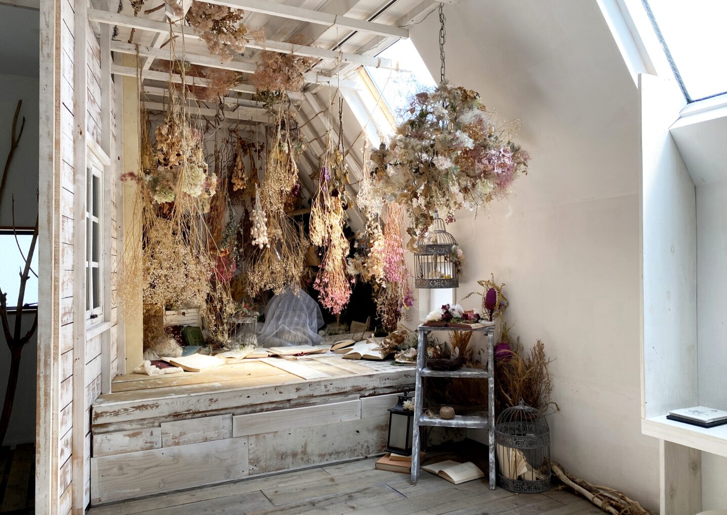 スタジオシーグラス